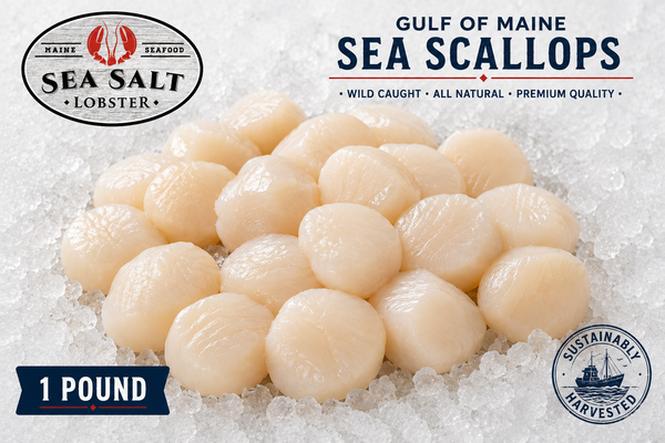 Gulf of Maine sea scallops