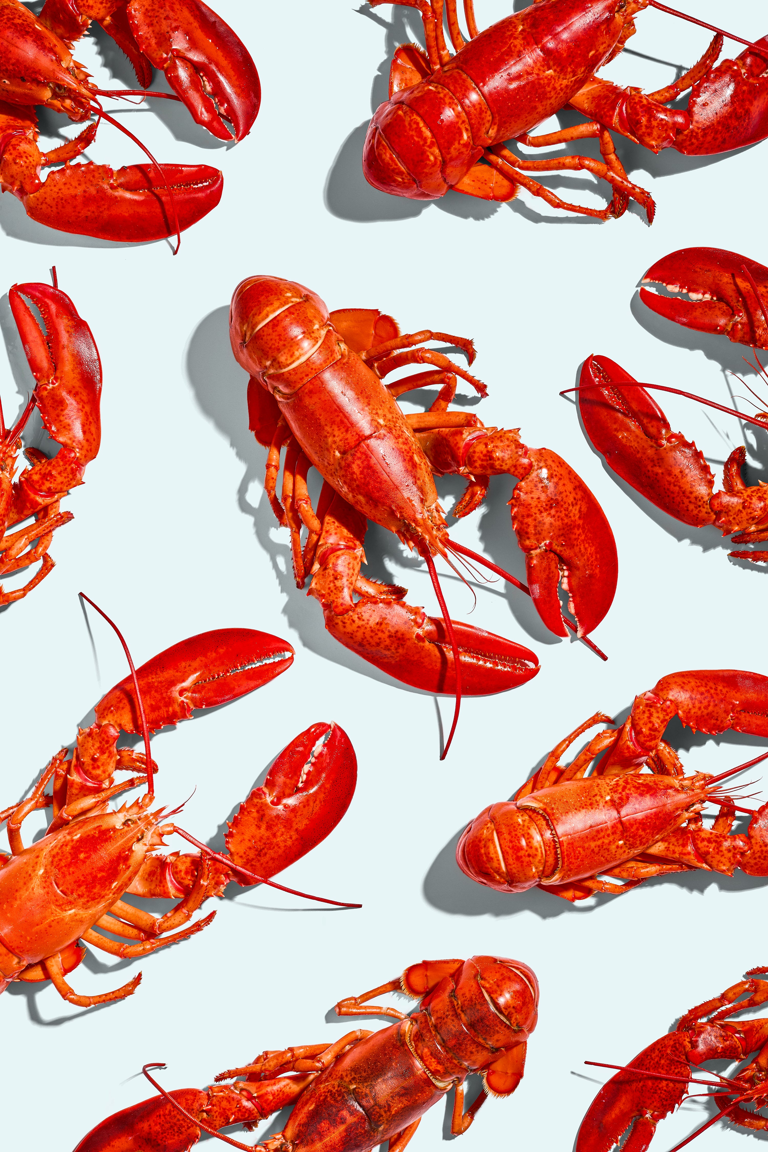 Maine seafood plated for dinner