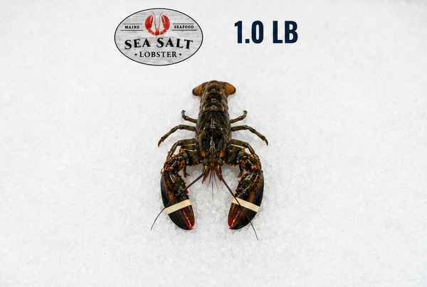 Live Maine lobsters packed for overnight shipping